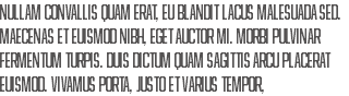 Nullam convallis quam erat, eu blandit lacus malesuada sed. Maecenas et euismod nibh, eget auctor mi. Morbi pulvinar fermentum turpis. Duis dictum quam sagittis arcu placerat euismod. Vivamus porta, justo et varius tempor,